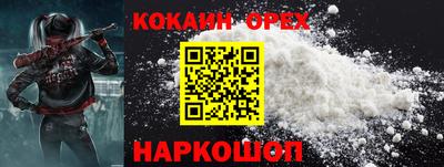 индика Боровичи