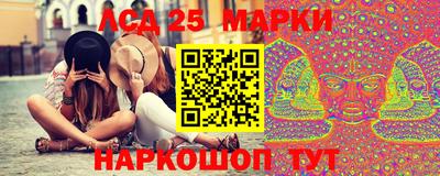 apvp Братск