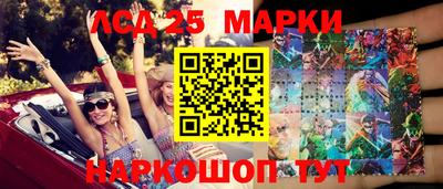 индика Боровичи