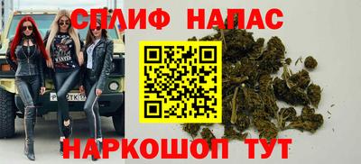 сатива Брянск