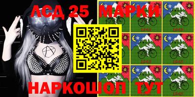 индика Боровичи