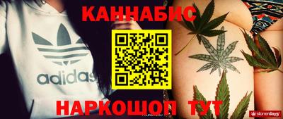 индика Боровичи