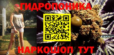 apvp Братск