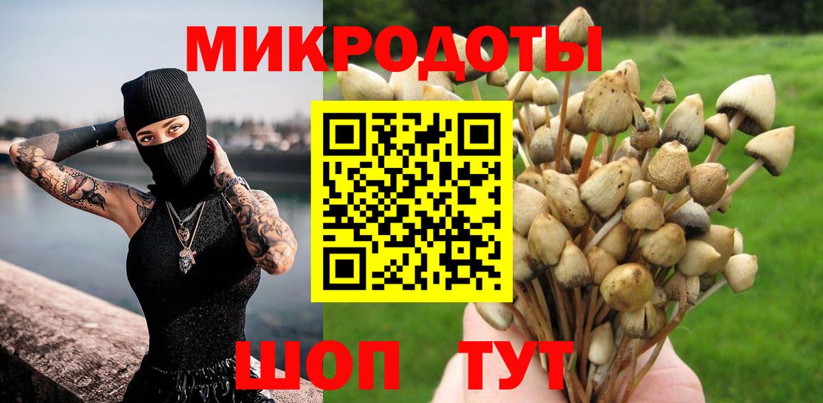 Псилоцибиновые грибы Cubensis  Вход с VPN  Нарткала 